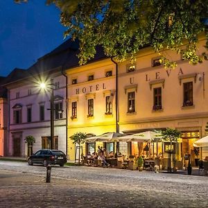 Hotel U Leva
